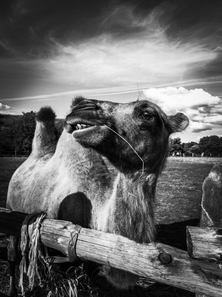 Photograph by Inna Kuznetsova