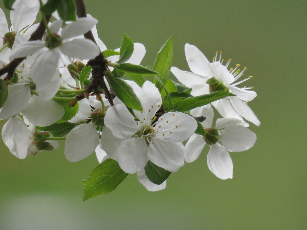 Photograph by Елена Лазутина