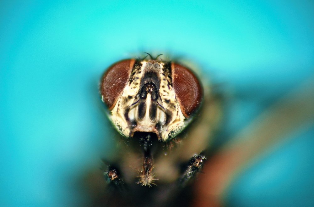 Photograph by Sandor Zoltan Gal