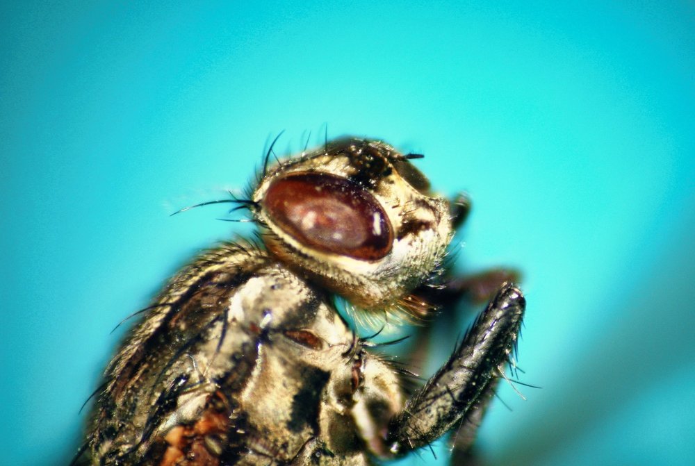 Photograph by Sandor Zoltan Gal