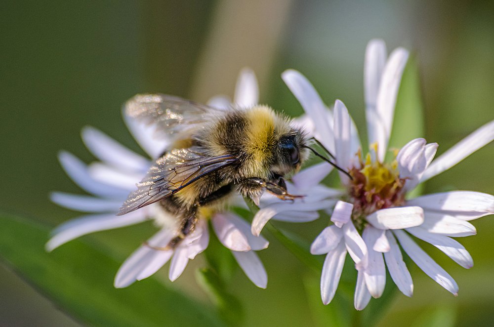 Photograph by Дмитрий Бухтик