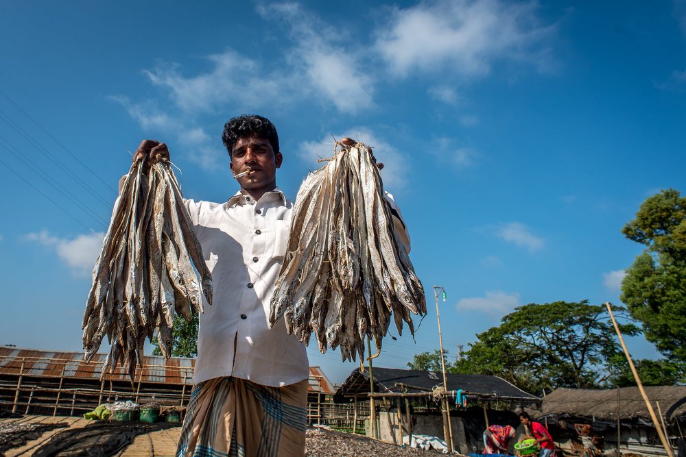 Фотография автора Hossain Zakir