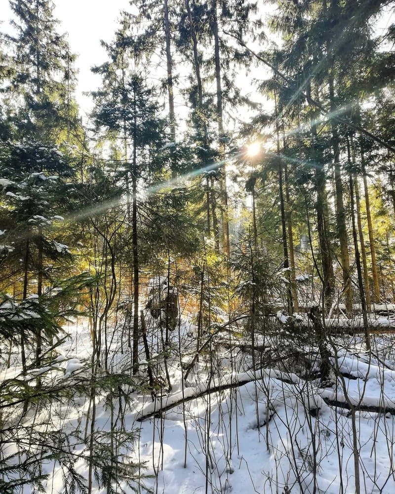 Photograph by Майя Динова