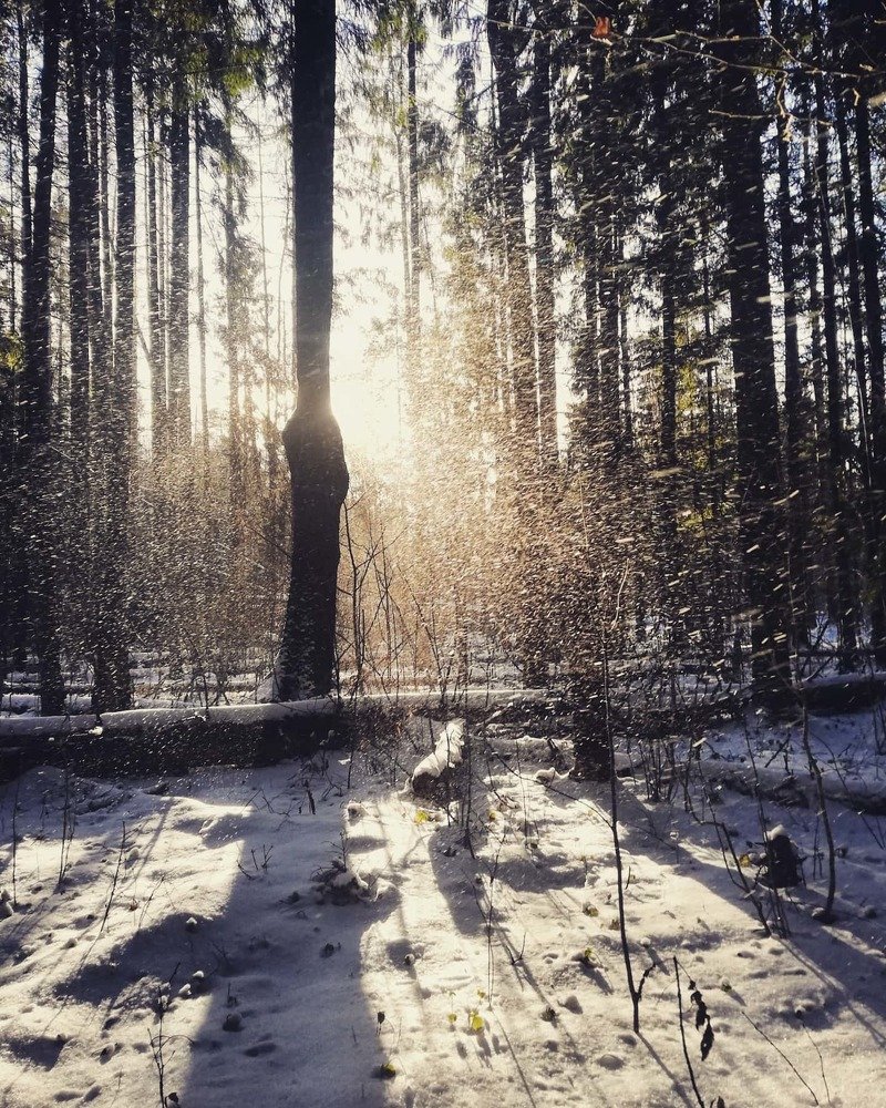 Photograph by Майя Динова