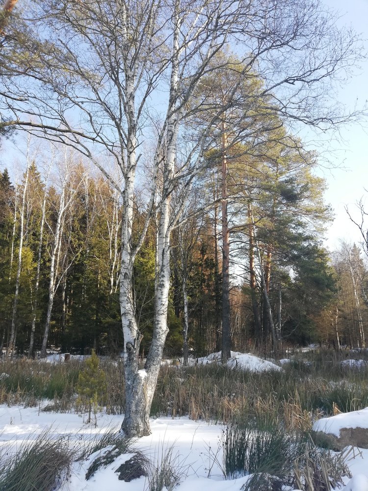 Photograph by Майя Динова