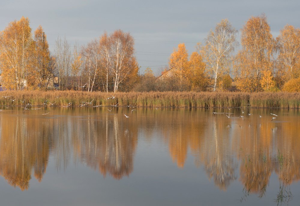 Photograph by Ильзира Нуруллина