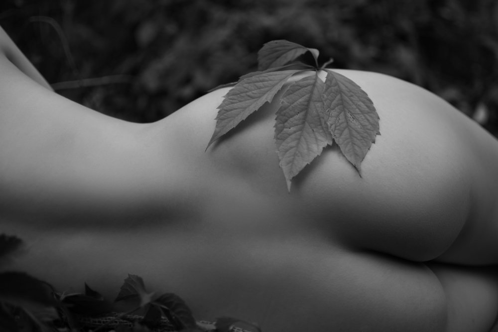 Фотография автора Виктория Гревцева