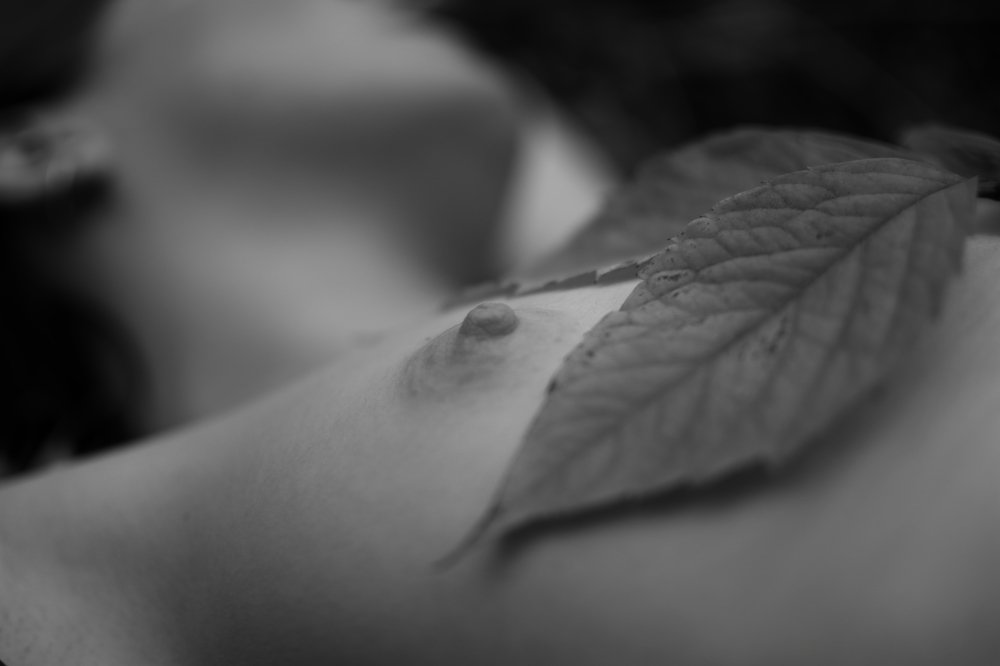 Фотография автора Виктория Гревцева