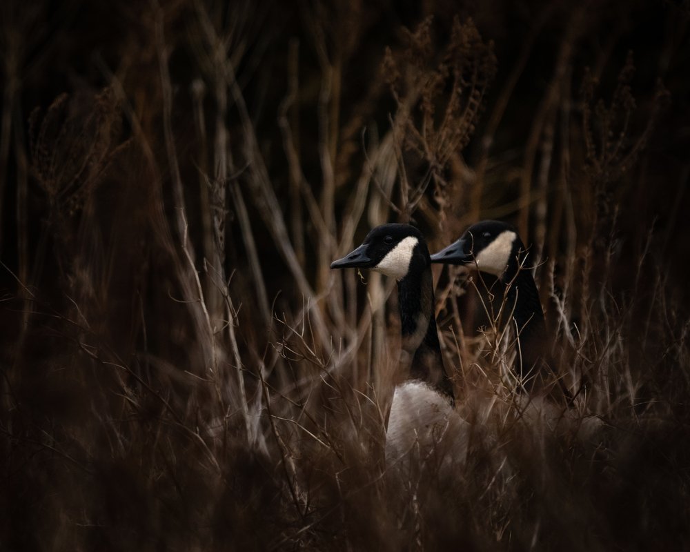 Photograph by JAMES BAILEY