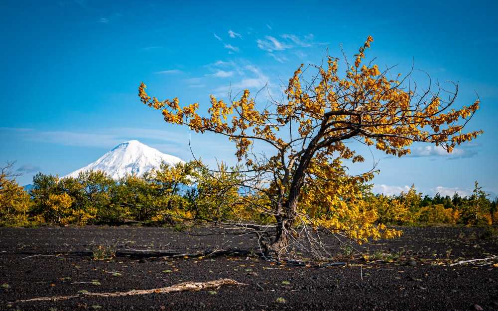 Photograph by Pavel Rudenko