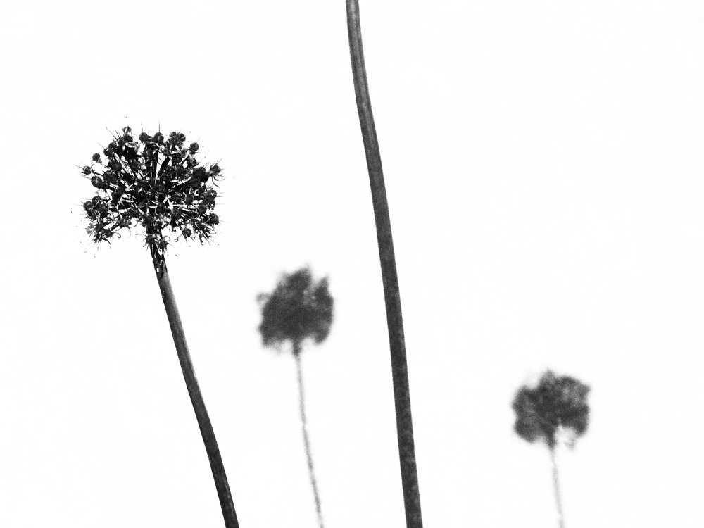 Photo #5554801