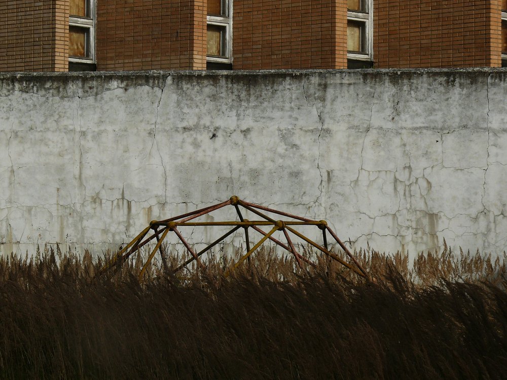 Photo #5554825