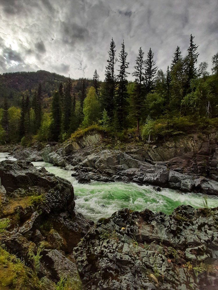 Фотография автора Эльвира Чернова