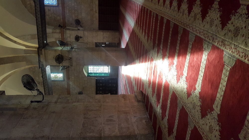 Photo #5554839