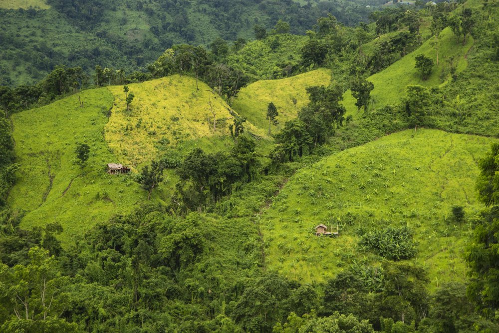 Shifting Cultivation in the Chittagong Hill Tracts