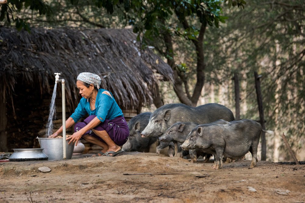Фотография автора Hossain Zakir