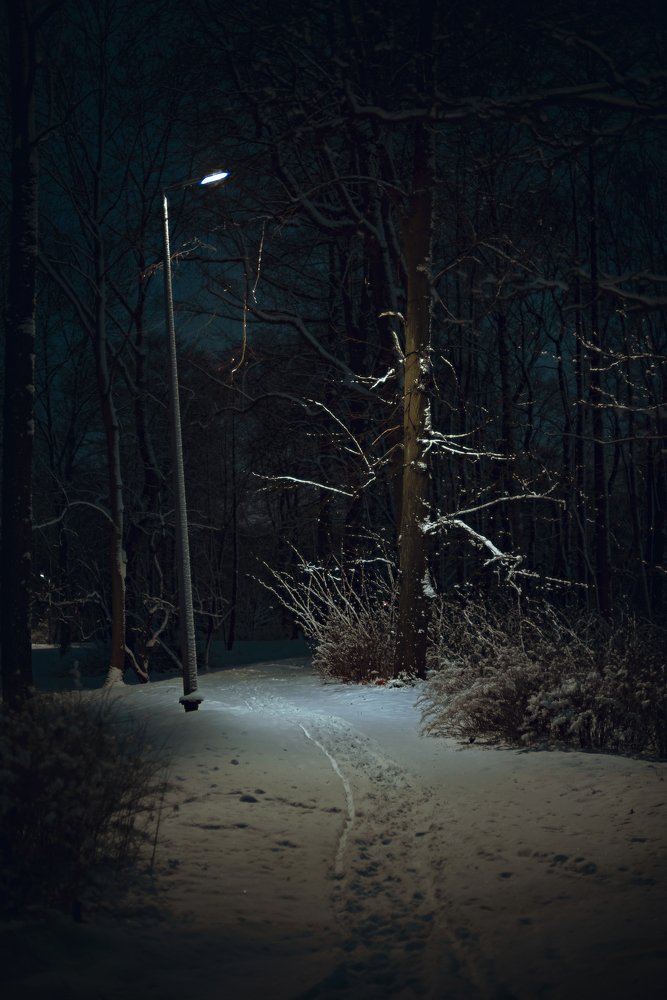 Photograph by Елена Сапожникова