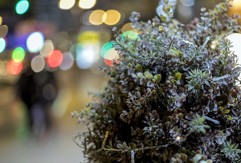 Photograph by Ángel Ros