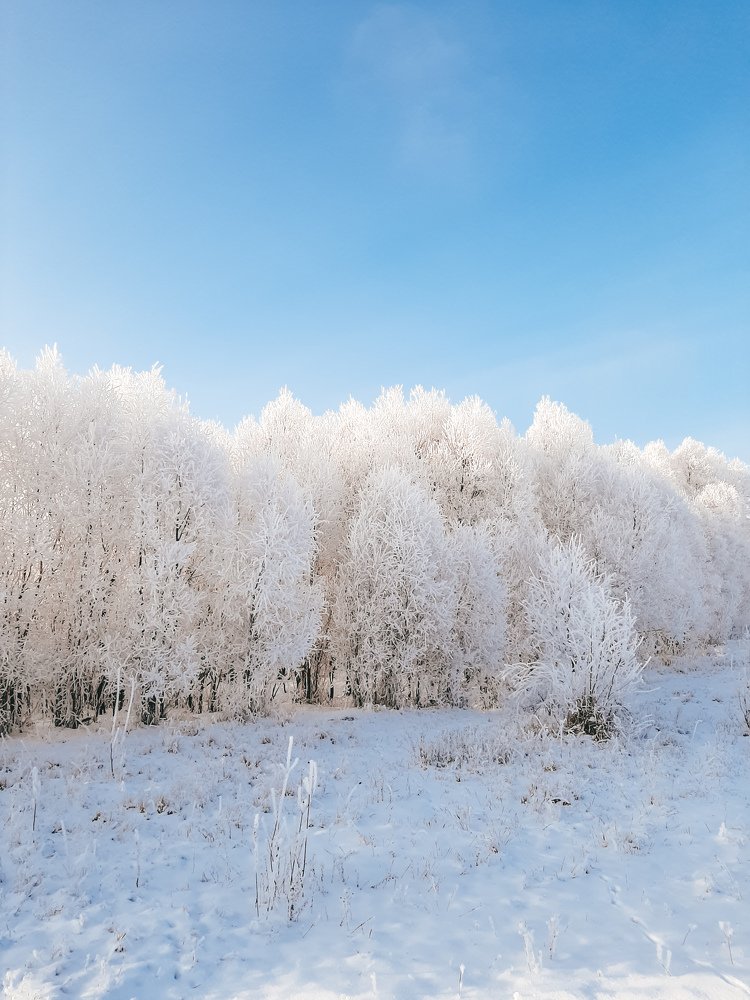 Фотография автора Эльвира Чернова