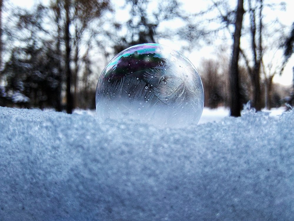 Photograph by Елена Олейникова