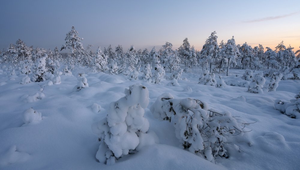 Photograph by Олег Иваницкий