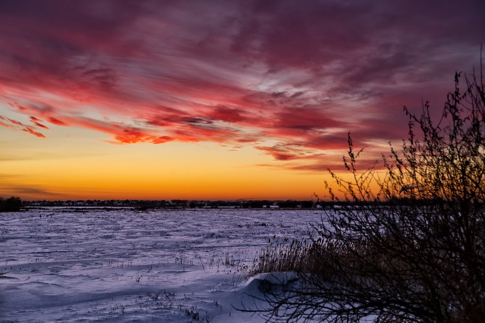 Фотография автора Евгений Бондарь