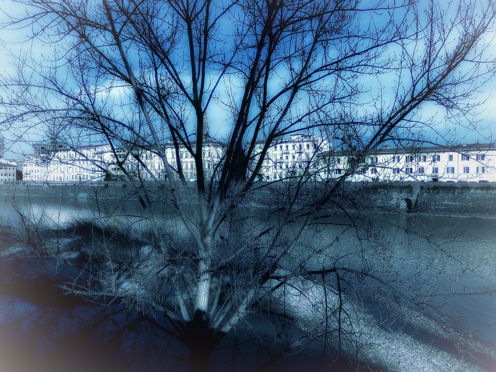 Фотография автора Loreta Tepshi