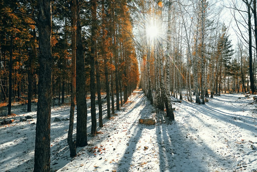 Фотография автора Андрей Бармашов