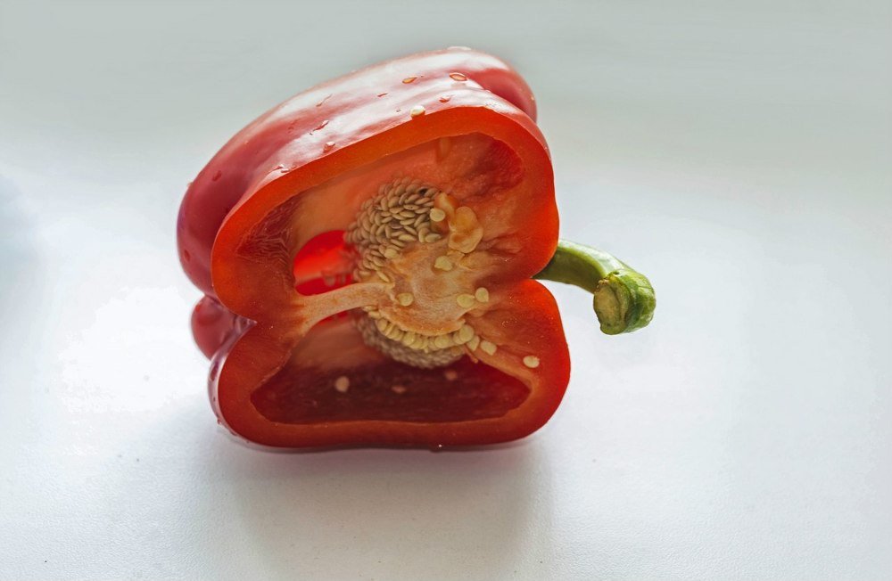 Photograph by Дмитрий Захаров