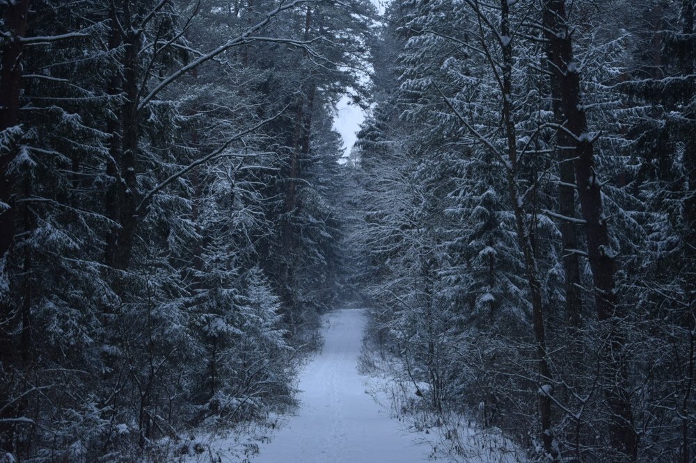 Photograph by Евгения Александровна Богаевская