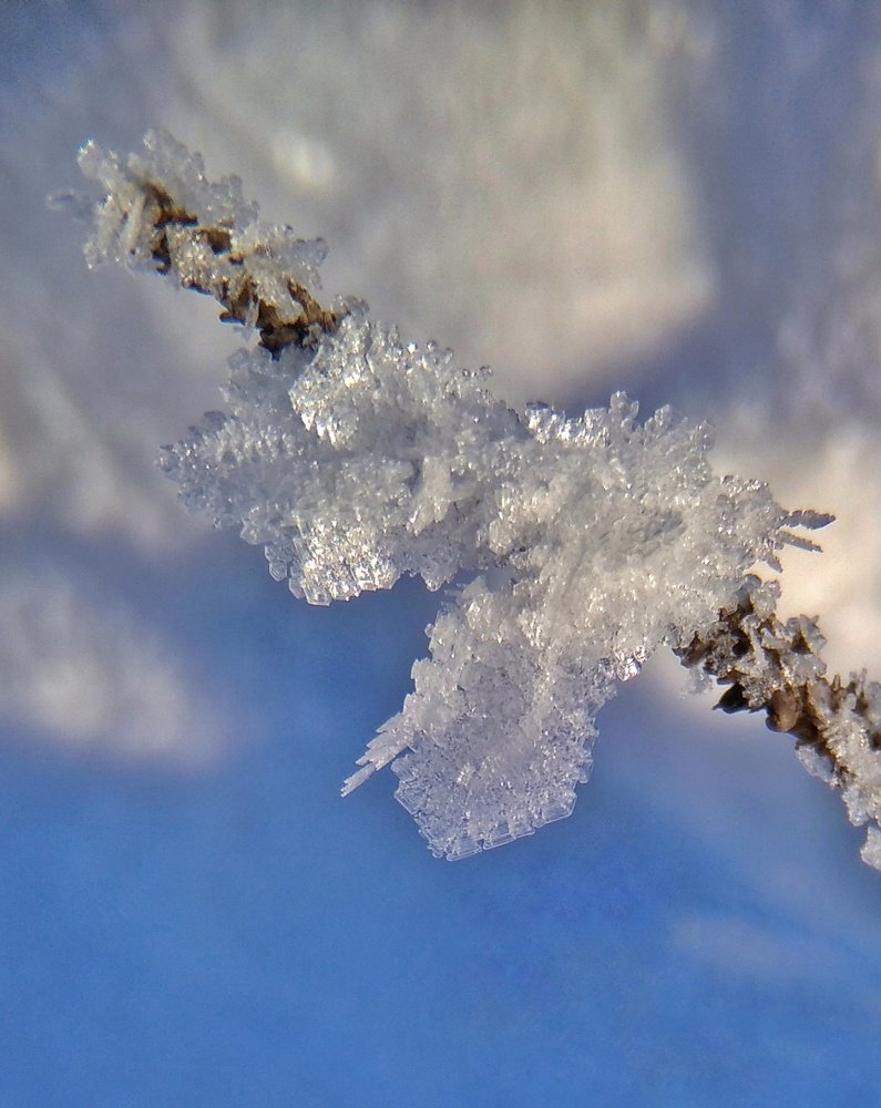 Photograph by Алексей Копылов