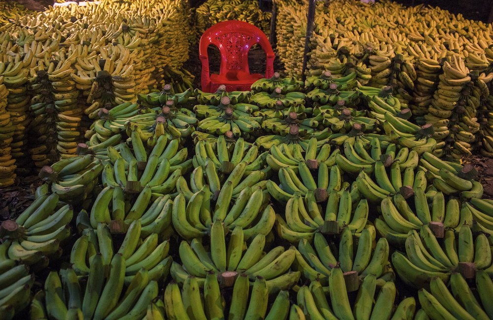 Photograph by Noushad Rakib