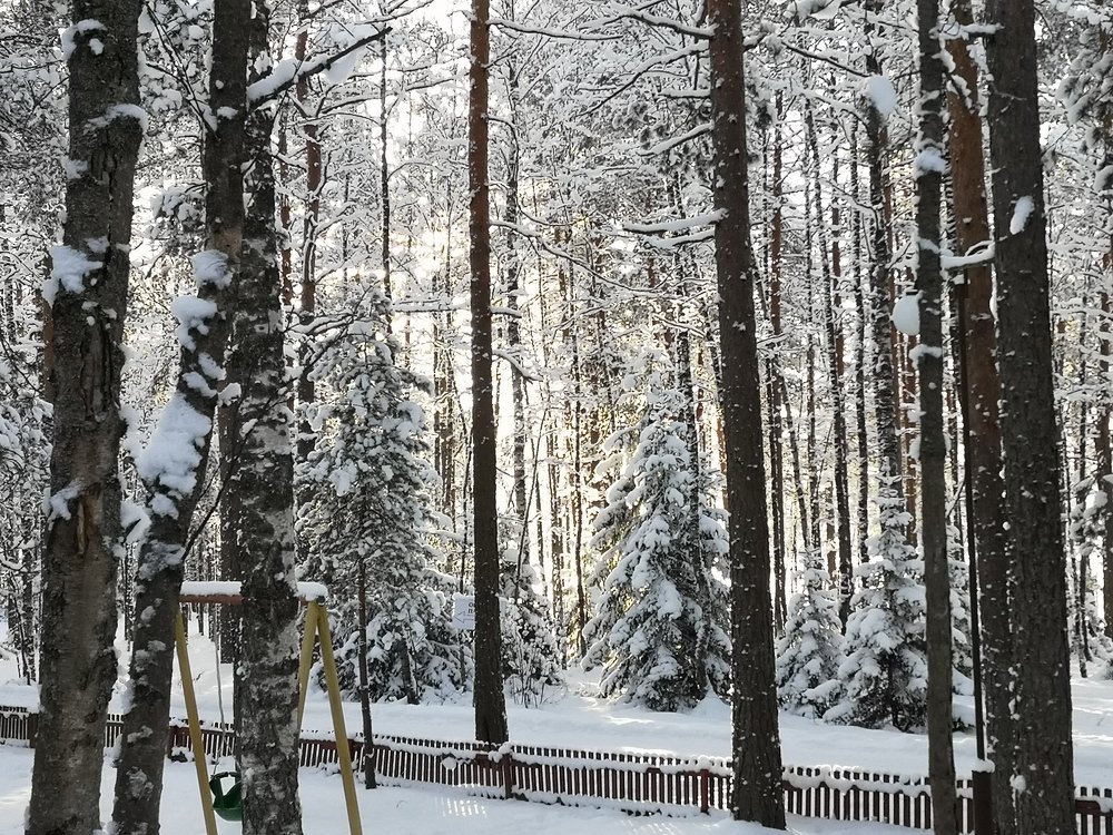 Photograph by Андрей Антонов