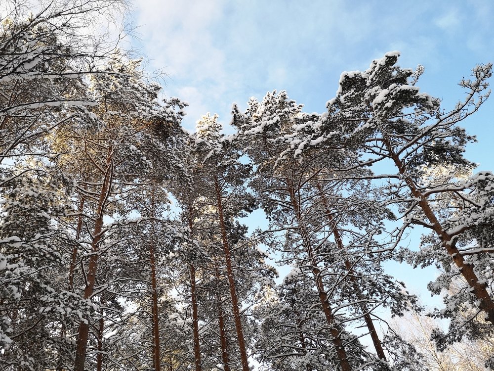 Photograph by Андрей Антонов