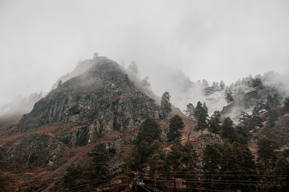 Photograph by Наталья Леденева