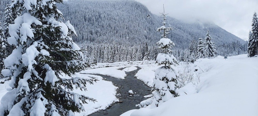 Photograph by Raduca Cosmin