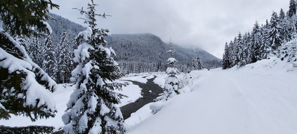 Photograph by Raduca Cosmin