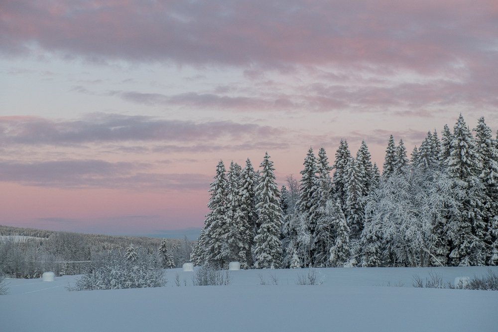 Photograph by Arnfinn Malmedal