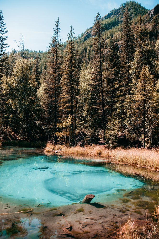 Photograph by Наталья Леденева