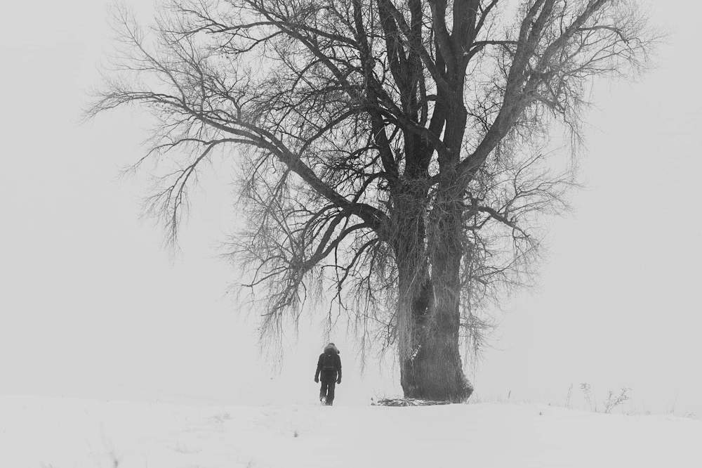 Фотография автора Justyna Jeżak