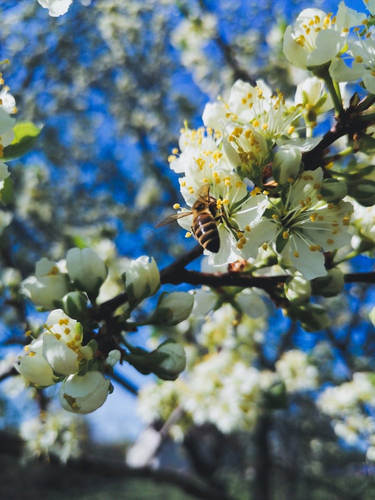 Photograph by Inna Kuznetsova