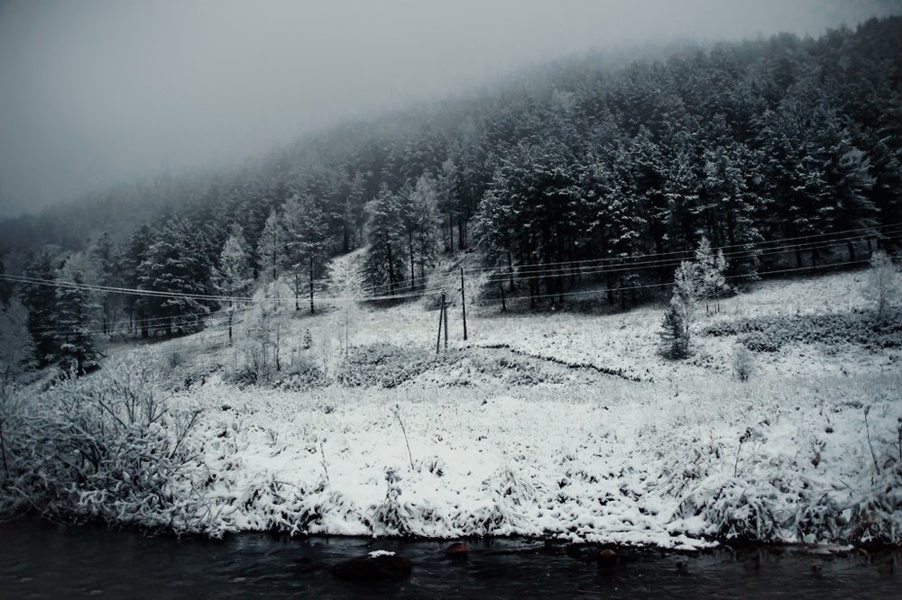 Photograph by Наталья Леденева