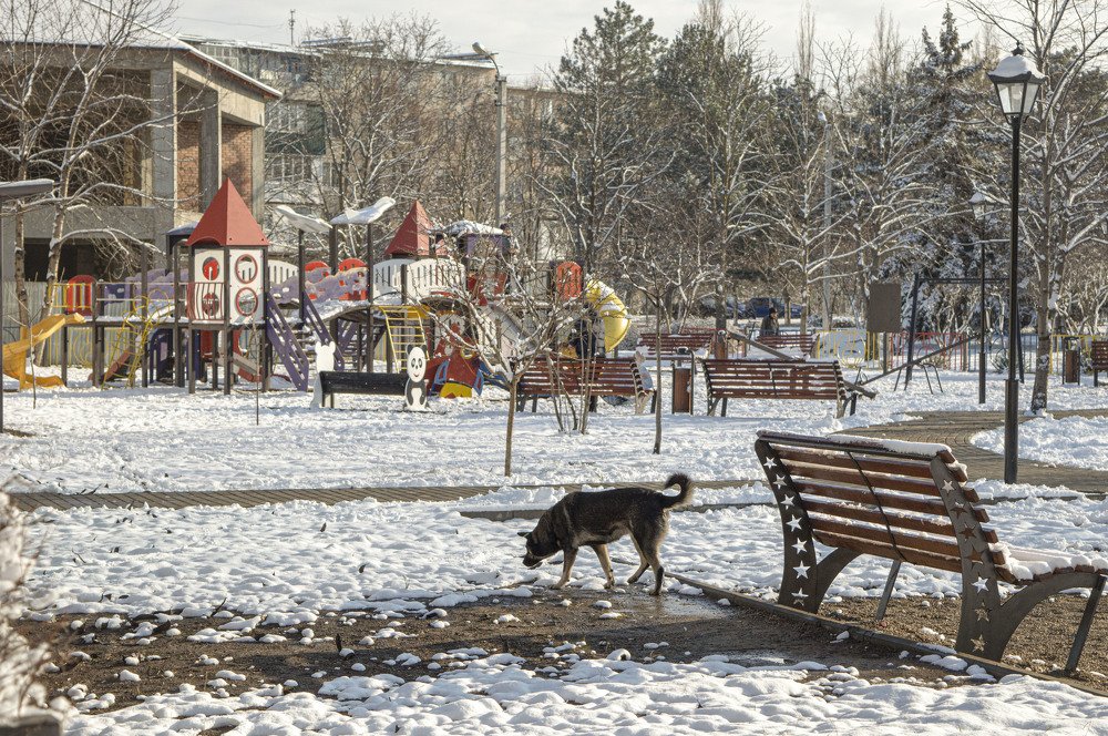 Photograph by Ирина Федорова