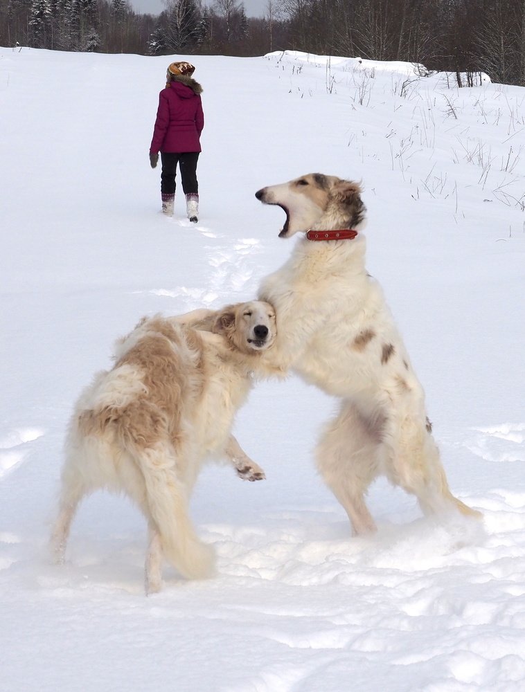 Photograph by Екатерина Шмелева