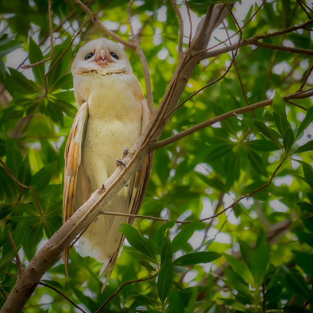 Photograph by Manjri Saxena