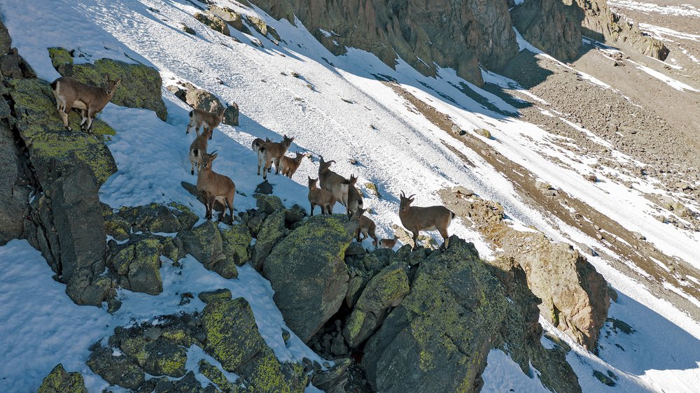 Photograph by Константин Кукушкин