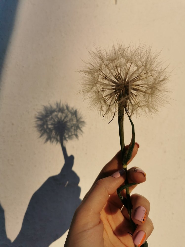 Photograph by Зарина