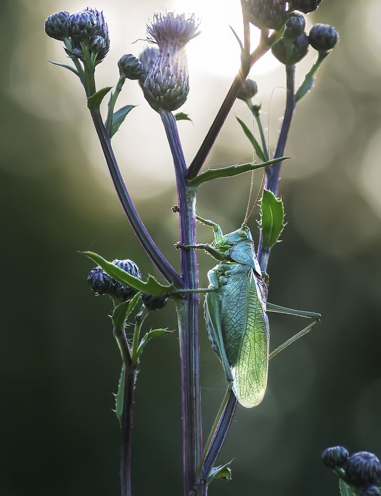 Photograph by Полина Васеева