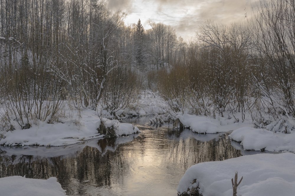 Photograph by Светлана Давыдова