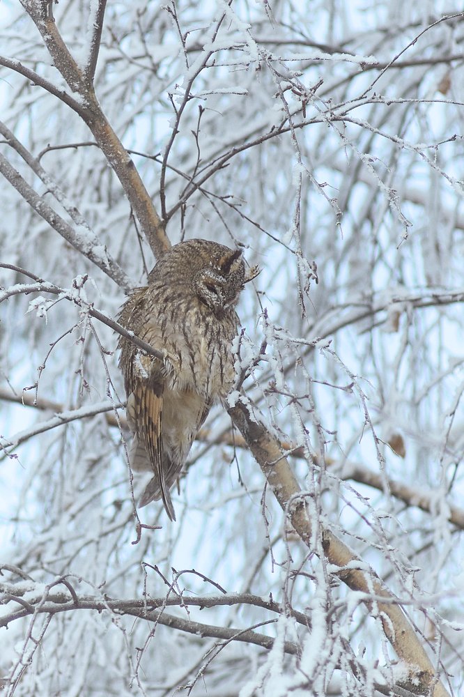 Photograph by Александра Павлова